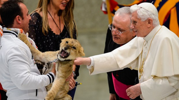 Pope-Benedict-XVI-caresses-a-lion-AFP